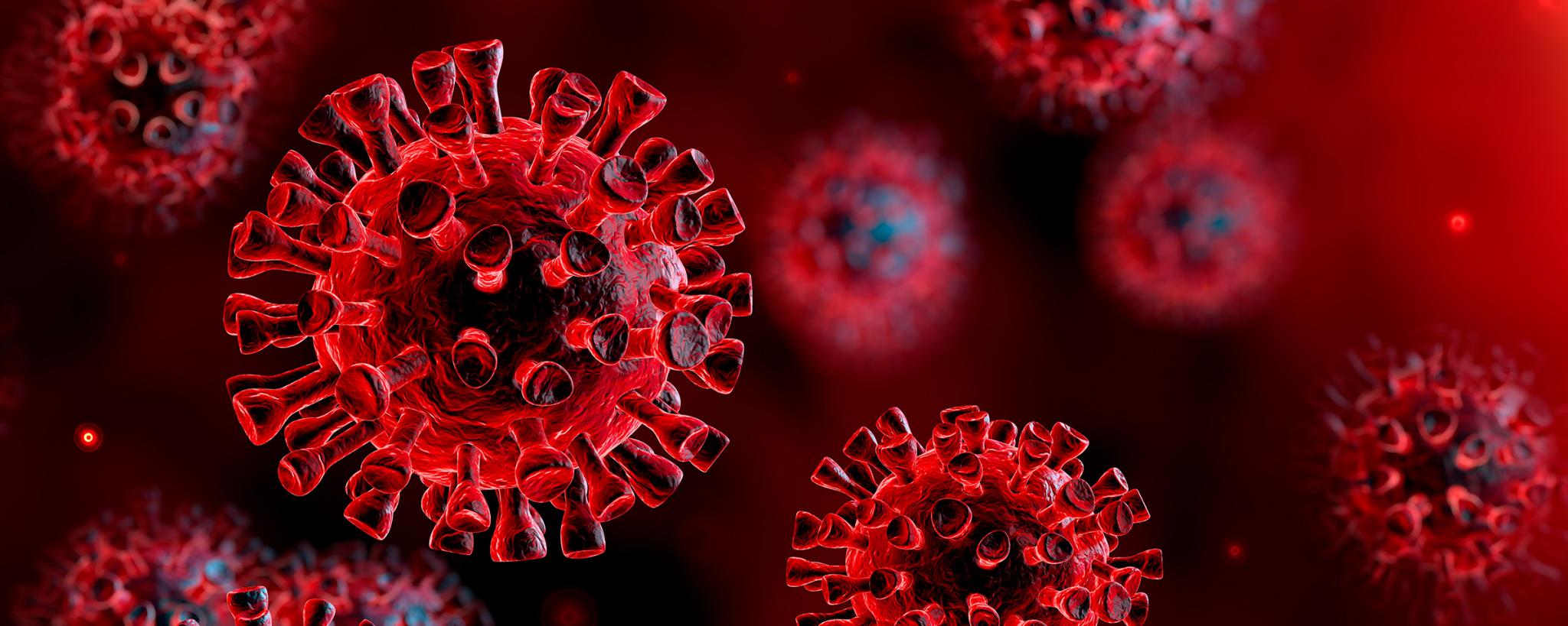 corona virus infektiologie ksa